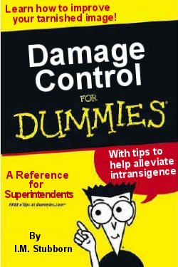 brainy nl damage control