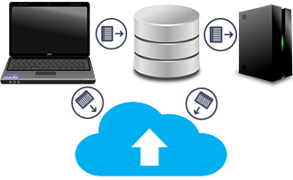 brainynl backup data
