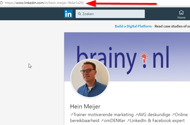1 brainy nl linkedin profielnaam voorbeeld
