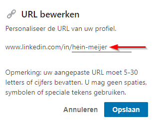 2 brainy nl linkedin profielnaam stap4